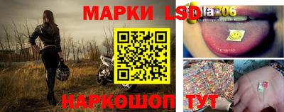 амф Кандалакша