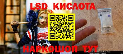 амф Кандалакша