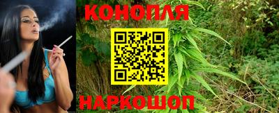 соль ск Камышлов
