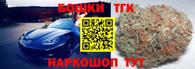 амф Кандалакша